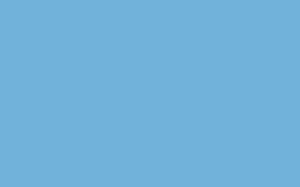 No custom CALPADS error image is available