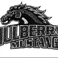Mulberry Elementary District