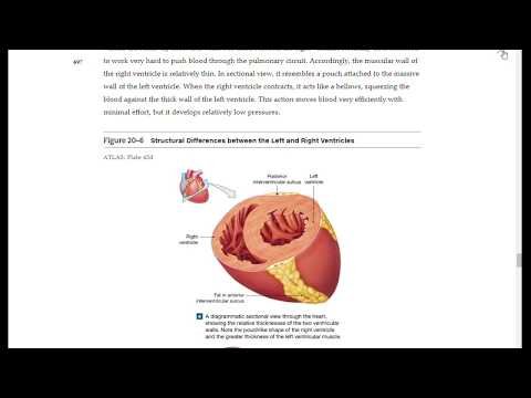 Mastering A&amp;P Walk-through