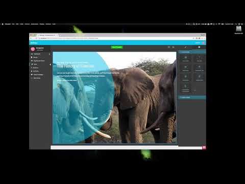 Create Amazing Educational Content with Belouga