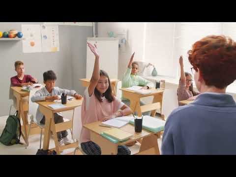 Vista English Learning and Literacy Solutions (2024)