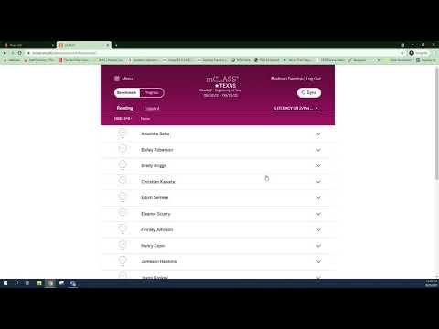 mCLASS Assessment Clarification || Assessment Measures
