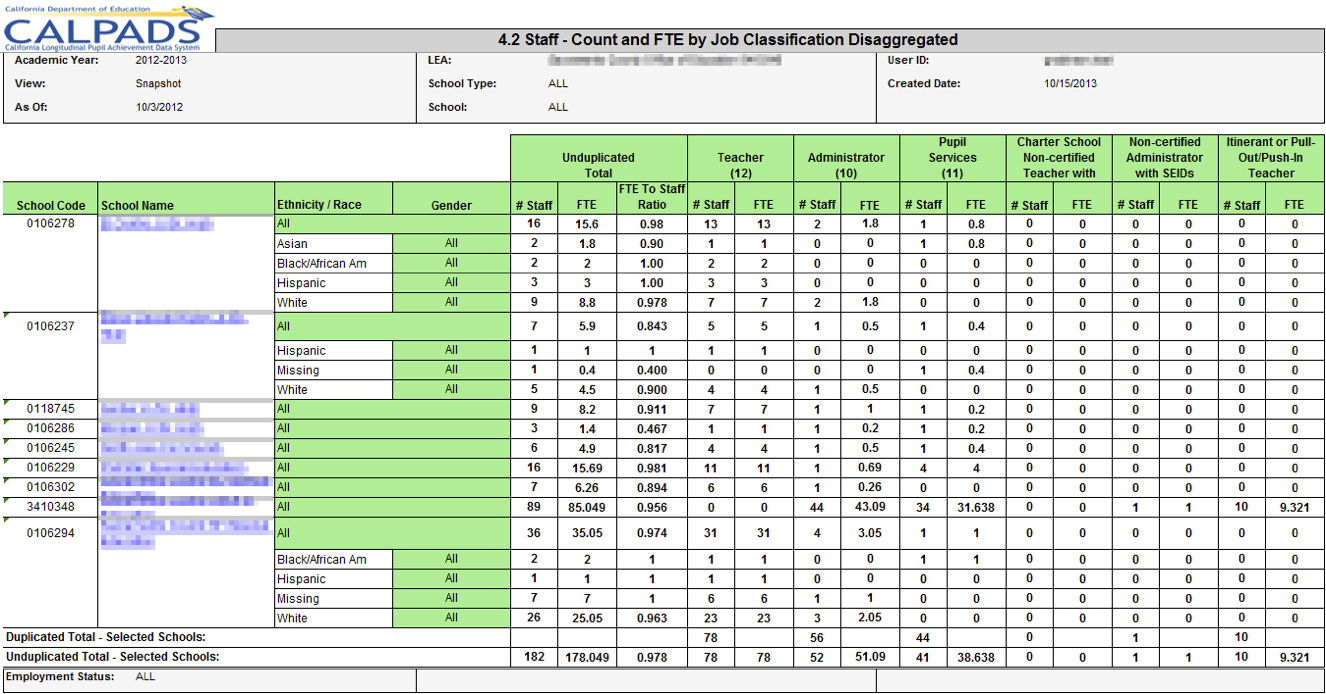 4.2 - Staff - Count and FTE by Job Classification Disaggregated