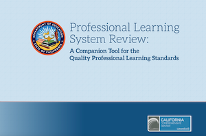 Professional Learning System Review